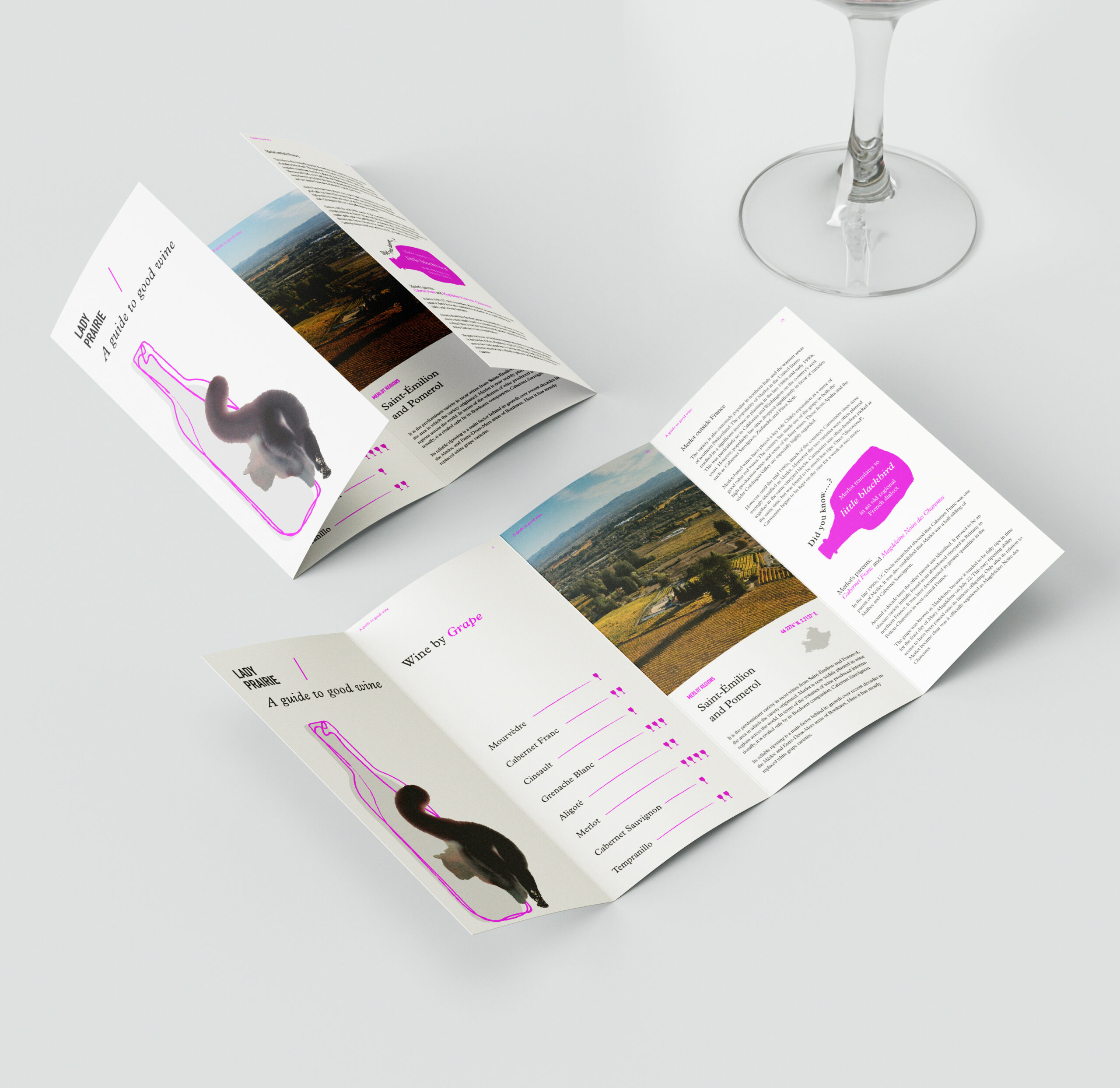Wine Brochure Mockuip | Lady Prairie